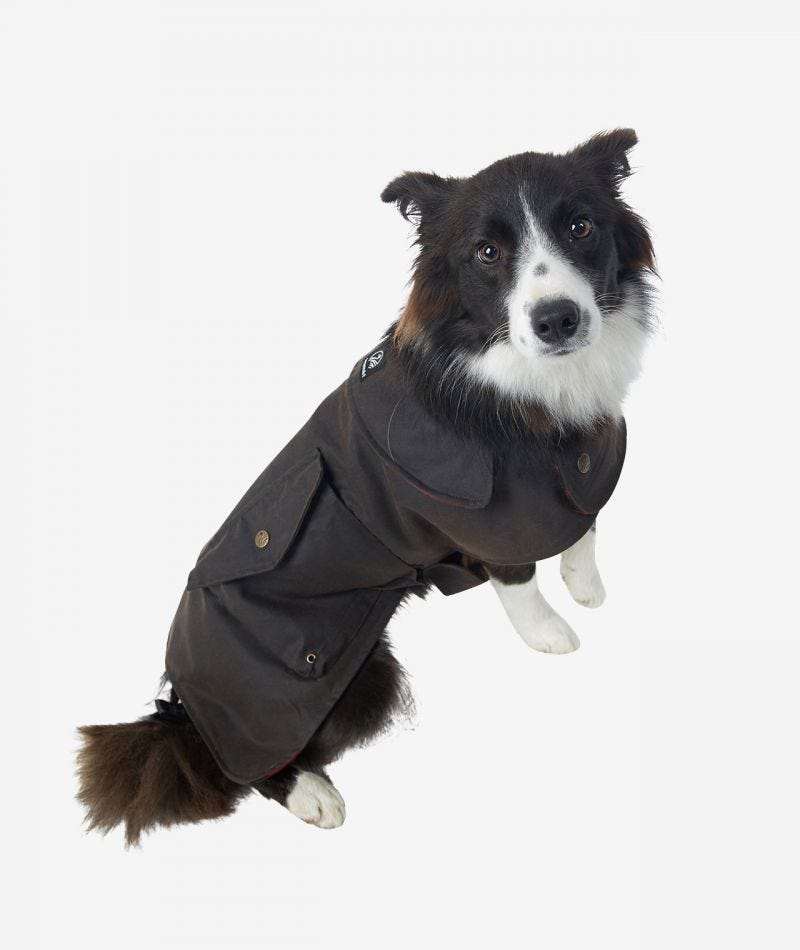 Oilskin dog jacket sale